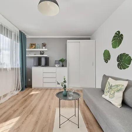 Studio With Sky Tower View By Renters *
