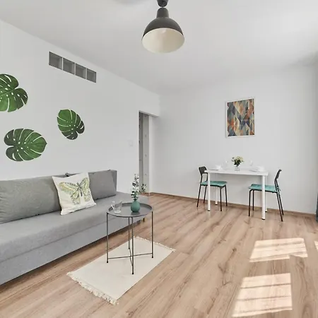 Appartement Studio With Sky Tower View By Renters *