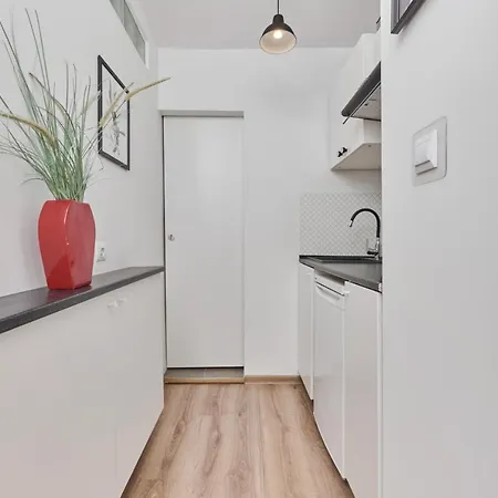 Apartment Studio With Sky Tower View By Renters